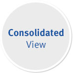 Consolidated View