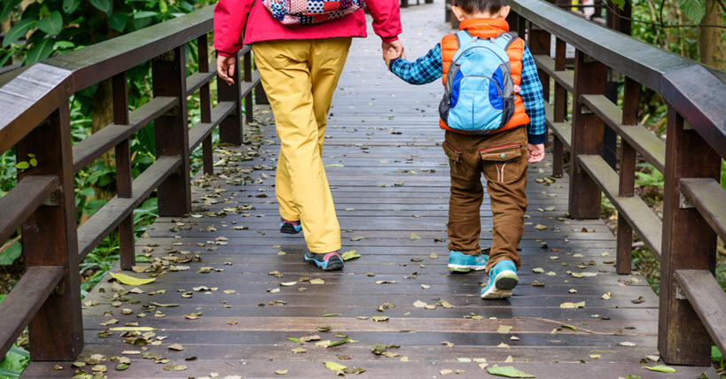 Back view of adult and child walking through forest holding hands