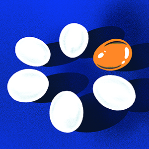 Eggs placed into a circle. 