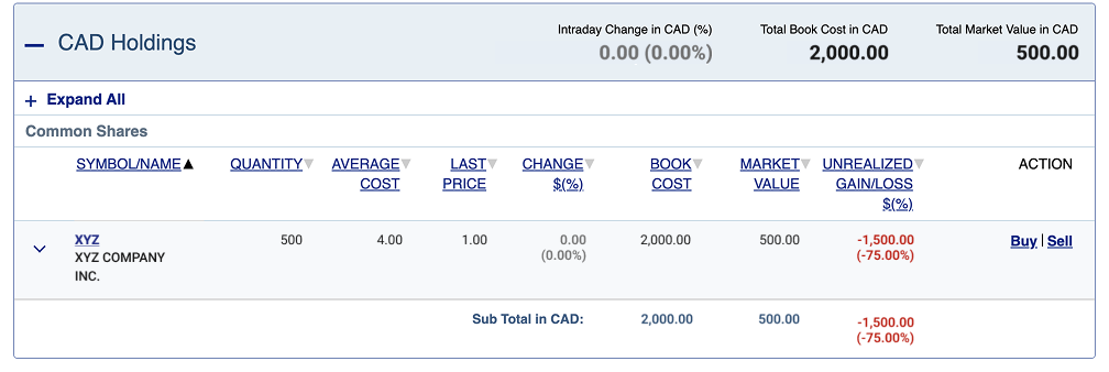 Screengrab showing shares after quantity update