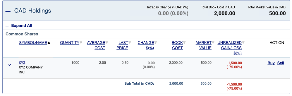 Screengrab showing shares before reverse split